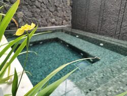 Holland Park (D10), Detached #447960901